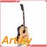 black bronze instrument Artiny best acoustic guitar