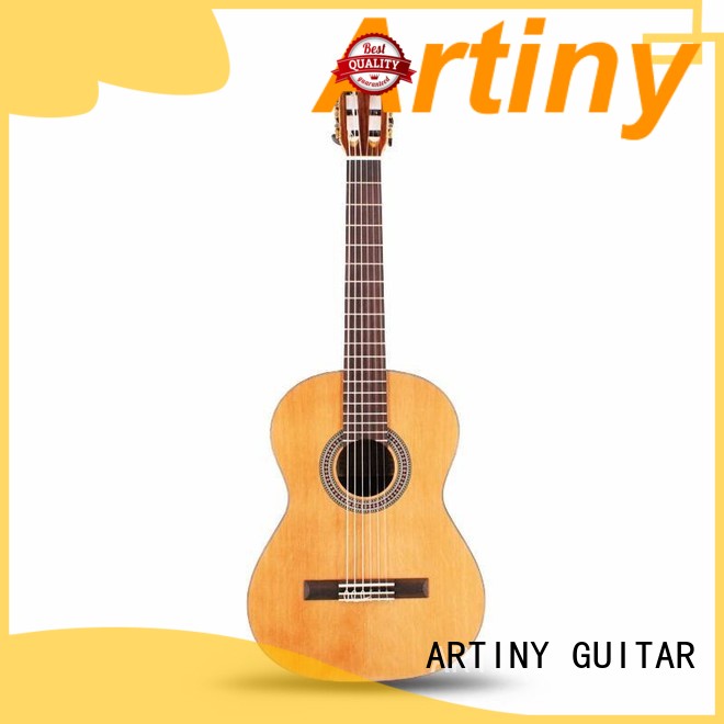 best classical guitars for the money for starter Artiny