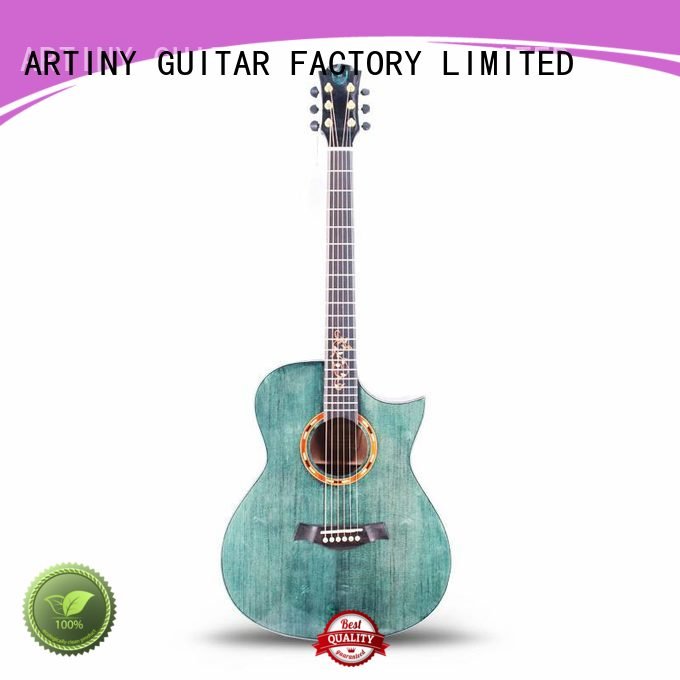 folk bronze acoustic guitar brands Artiny