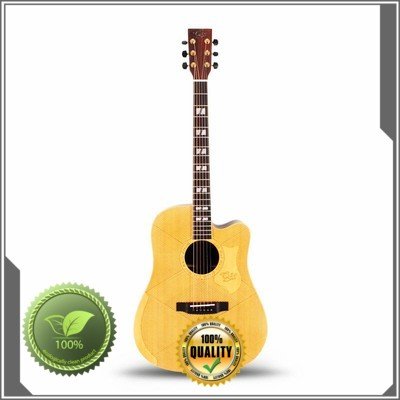 acoustic guitar brands frets engrave Artiny Brand