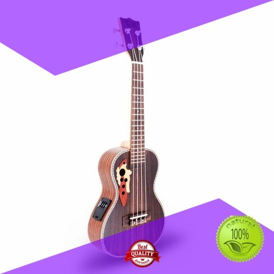 Artiny Brand zebrawood soprano saprano pineapple ukulele